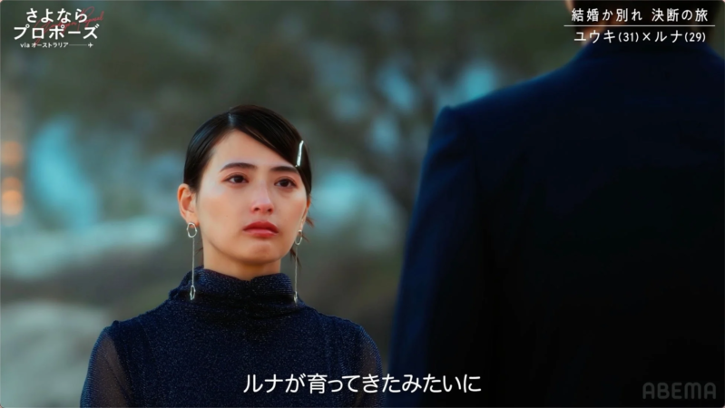 ルナさんの真剣な表情