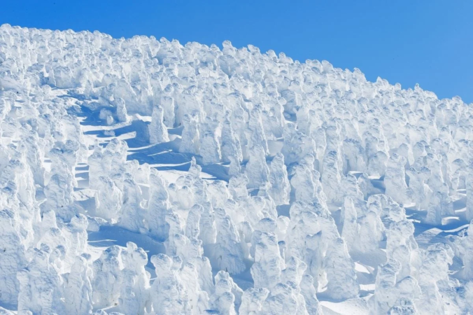 樹氷