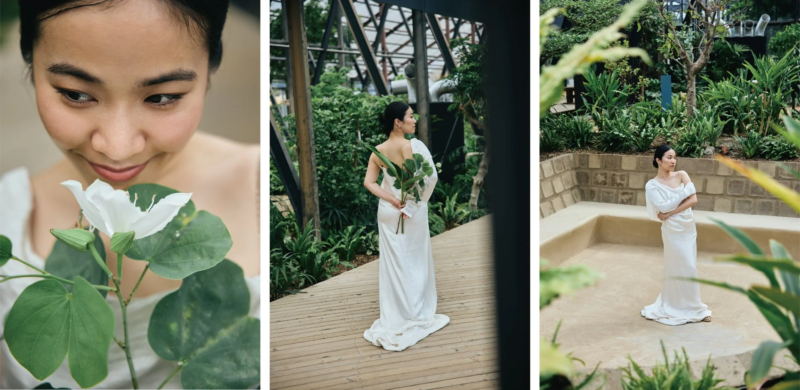白いドレスの女性と植物